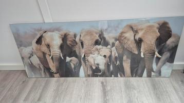 Foto op glas 125x50 met ophangsysteem beschikbaar voor biedingen