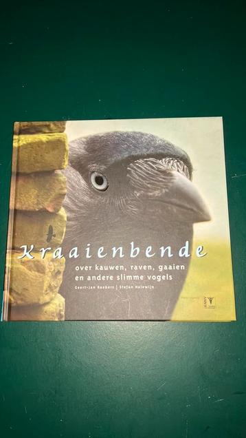 G.J. Roebers - Kraaienbende beschikbaar voor biedingen