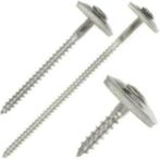 25-100 RVS, Sprengler golfplaat houtschroeven 120 mm serre, Verzenden, Nieuw
