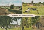 HELLENDOORN Landschap Panorama Koeien Groeten, Verzamelen, Ansichtkaarten | Nederland, Verzenden, 1980 tot heden, Gelopen, Overijssel