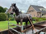 Groot ijzeren paard, Antiek en Kunst, Ophalen of Verzenden