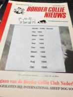Te.  Koop border collie. Nieuws, Mannelijk, Geit