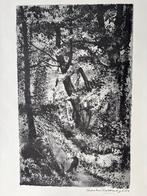 Litho van Aart van Dobbenburg - Boslandschap, Antiek en Kunst, Ophalen of Verzenden