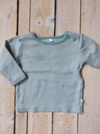 T-shirt zeeman maat 62, Zeeman, Verzenden, Zo goed als nieuw, Jongetje