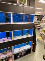 Aquarium verkoopstelling, aquariumstelling. Winkelstelling, Ophalen, Gebruikt