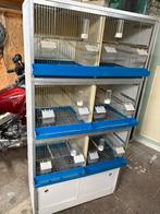 Broedkooien met morsgoot en led verlichting, Ophalen, Gebruikt, Broedkooi of Kweekkooi