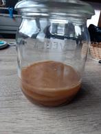 3x kombucha scoby, Ophalen