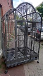 Papegaaienkooi Jolanda, Ophalen, Zo goed als nieuw, Metaal, Vogelkooi