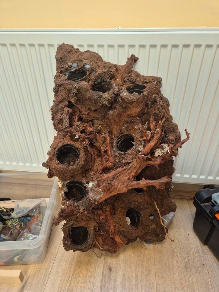 Vivarium/terrarium inrichting, Dieren en Toebehoren, Reptielen en Amfibieën | Toebehoren, Ophalen