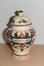 apotheek pot Lavendula spica   27 cm zenith Gouda, Ophalen of Verzenden