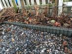 Opsluitbanden voor tuin - Gratis af te halen, Ophalen, Gebruikt, Overige typen, 200 cm of meer