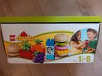 Lego Duplo 10566 creatieve picknick, Ophalen of Verzenden, Gebruikt, Duplo