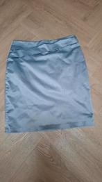 Grijze rok portlavande, Kleding | Dames, Rokken, Ophalen of Verzenden, Zo goed als nieuw, Grijs, Boven de knie