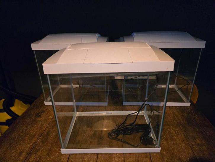 Diverse kleine aquaria te koop Superfish, Dieren en Toebehoren, Vissen | Aquaria en Toebehoren, Zo goed als nieuw, Leeg aquarium