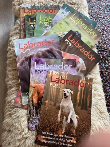 Te Koop: Labradorpost tijdschriften beschikbaar voor biedingen