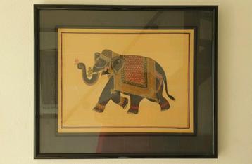 Indiase olifant op zijde