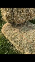 Hooi, balen hooi, voerdroog, Ophalen, Vee