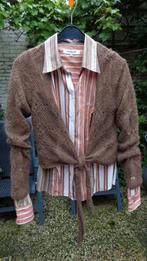 Set blouse en gebreide bolero van McGregor, McGregor, Ophalen, Nieuw, Maat 38/40 (M)