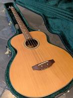 Bruce Wallace semi akoestische basgitaar, Muziek en Instrumenten, Ophalen, Gebruikt, Semi-akoestisch