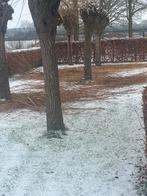 Knotwilgen takken - Ideaal voor decoratie of brandhout, Tuin en Terras, Palen, Balken en Planken, Ophalen of Verzenden, Nieuw