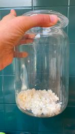 kefir / melkkefir korrels, Diversen, Ophalen