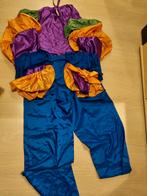 Carnavalskleding voor volwassenen, Kleding | Dames, Carnavalskleding en Feestkleding, Ophalen of Verzenden, Zo goed als nieuw