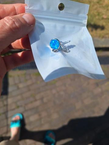 zilveren paar blauwe oorknoppen beschikbaar voor biedingen