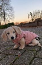 Roze honden jas, Ophalen of Verzenden, Zo goed als nieuw, Hondenjas