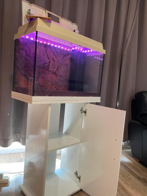 Aquarium 60Liter, Dieren en Toebehoren, Vissen | Aquaria en Toebehoren, Gebruikt, Leeg aquarium, Ophalen