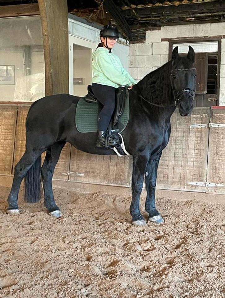 braaf en rustig recreatief paardje gezocht!, Dieren en Toebehoren, Stalling en Weidegang, 1 paard of pony