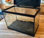 Aquarium Superfish 60 l, Ophalen, Gebruikt, Leeg aquarium