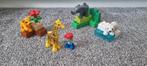 Duplo dierentuin dieren, Ophalen of Verzenden, Gebruikt, Complete set, Duplo