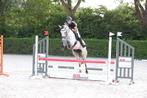 4,5-jarige merrie te koop, Dieren en Toebehoren, Paarden, Merrie, Springpaard, 3 tot 6 jaar, L