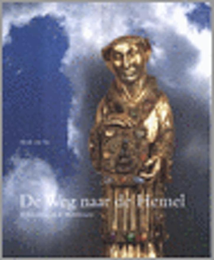 De weg naar de hemel, Boeken, Geschiedenis | Wereld, Zo goed als nieuw, Overige gebieden, 20e eeuw of later, Ophalen of Verzenden