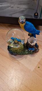 Papagaai sneeuwbol / snowglobe, Ophalen of Verzenden, Zo goed als nieuw