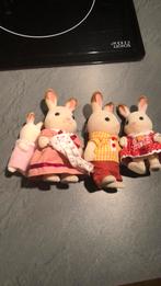 Sylvanian famalie konijn en beer en meer, 33 - 40 uur, Overige niveaus, Starter, Overige vormen