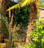 Stalen Rietsigaren – Tuinkunst met een natuurlijk accent, Tuin en Terras, Tuinbeelden, Ophalen, Nieuw, Metaal, Overige typen