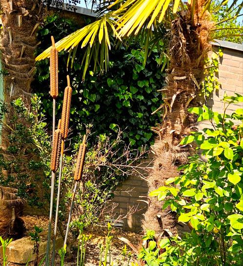 Stalen Rietsigaren – Tuinkunst met een natuurlijk accent, Tuin en Terras, Tuinbeelden, Nieuw, Overige typen, Metaal, Ophalen
