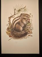 Boeroendoek, Verzenden, 1980 tot heden, Zo goed als nieuw, Dier