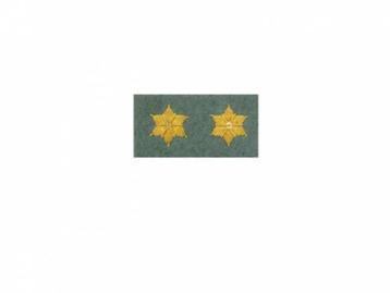 Embleem,Koninklijke,Landmacht,WWII,Officiers,Sterren,Goud beschikbaar voor biedingen