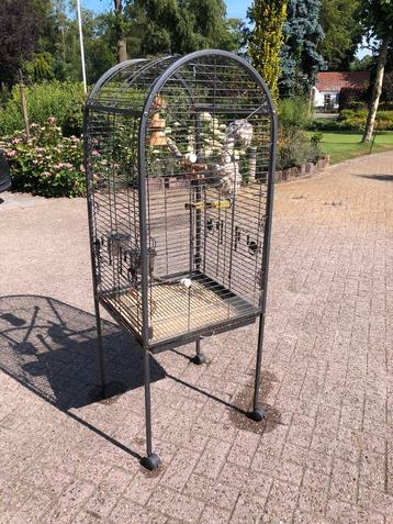 Te koop nettte papagaaienkooi beschikbaar voor biedingen