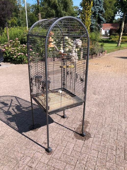 Te koop nettte papagaaienkooi, Dieren en Toebehoren, Vogels | Hokken en Kooien, Gebruikt, Vogelkooi, Metaal, Ophalen