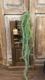 Brynxz Hangplant, Binnen, ., Nieuw, Ophalen of Verzenden