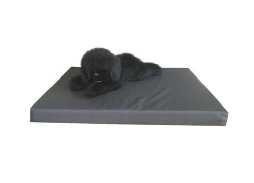 Hondenbed Gezondheidskussen Hondenkussen Nieuw OP=OP!, Dieren en Toebehoren, Hondenmanden, Nieuw, Ophalen of Verzenden