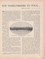 Eendekooi historisch artikel, Ophalen of Verzenden, 20e eeuw of later, Gelezen