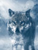 Poster wolf 150x100 (hxb) zelfklevend, Ophalen, Gebruikt