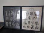 Gratis Ikea ingelijste tuinposters - Kruiden & Groenten, Ophalen, 50 tot 75 cm, 50 tot 75 cm, Print