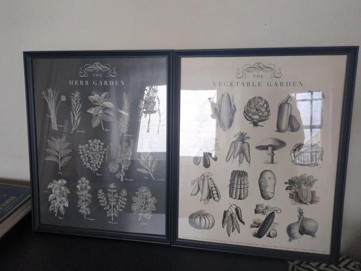 Gratis Ikea ingelijste tuinposters - Kruiden & Groenten, Huis en Inrichting, Woonaccessoires | Schilderijen, Tekeningen en Foto's