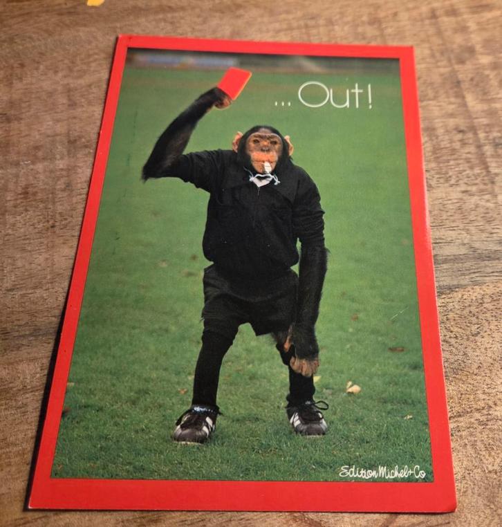 Chimpansee als scheidsrechter, Verzamelen, Ansichtkaarten | Dieren, Ongelopen, 1980 tot heden, Overige soorten, Verzenden