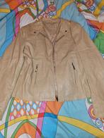 Dames jas maat 40, Sport en Fitness, Vliegeren, Ophalen of Verzenden, Gebruikt, Vierlijns